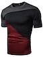 abordables Camisetas casuales de hombre-Hombre Camiseta Camisa Gráfico Bloque de color Escote Redondo Retazos Delgado Tops Blanco Negro Vino