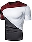 ieftine Tricouri casual pentru bărbați-Bărbați Tricou Cămașă Grafic Bloc Culoare Rotund Peteci Zvelt Topuri Alb Negru Roșu Vin