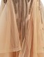 levne Večerní šaty-Mořská panna Elegantní &amp; luxusní Zářivé Formální večer Šaty Špagetová ramínka Krátký rukáv Dlouhá vlečka Tyl s Křišťály 2020