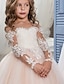 cheap Flower Girl Dresses-Ball Gown Sweep / Brush Train Flower Girl Dress First Communion Girls Cute Prom Dress Lace with Lace Mini Bridal Fit 3-16 Years