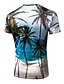 billige nautiske-Herre T-shirt Skjorte Grafisk 3D Rund hals Regnbue Gade Afslappet Kortærmet Trykt mønster Tøj Gade overdrevet