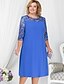 cheap Plus Size Dresses-Women&#039;s Plus Size Basic Shift Dress - Geometric Lace Fashion Spring Blue Red Light Blue XXL XXXL XXXXL