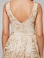 cheap Cocktail Dresses-A-Line Sexy Cocktail Party Dress Scoop Neck Sleeveless Short / Mini Lace with Lace Insert 2020