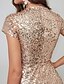 cheap Prom Dresses-Mermaid / Trumpet Special Occasion Dresses Celebrity Style Dress Formal Evening Sweep / Brush Train Short Sleeve Jewel Neck Sequined with Sequin 2023