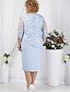 cheap Plus Size Party Dresses-Women&#039;s Lace Dress Plus Size Party Dress Shift Dress Semi Formal Dress Midi Dress Red Blue Light Blue Half Sleeve Paisley Lace Summer Spring Fall Crew Neck Elegant