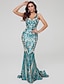 cheap Evening Dresses-Mermaid / Trumpet Special Occasion Dresses Sparkle Dress Engagement Formal Evening Sweep / Brush Train Sleeveless V Neck Sequined Backless with Sequin Pattern / Print 2024