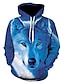 voordelige Trui-hoodies voor heren-Voor heren Hoodie jas Trui met capuchon Marine Blauw Capuchon dier 3D Basic Kleding Hoodies Sweatshirts