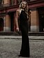 cheap Evening Dresses-Sheath / Column Evening Gown Elegant Dress Holiday Formal Evening Floor Length Sleeveless Halter Neck Jersey with Beading 2024