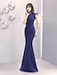 cheap Formal Dresses-Mermaid / Trumpet Evening Gown Elegant &amp; Luxurious Dress Formal Evening Sweep / Brush Train Sleeveless One Shoulder Satin with 2024