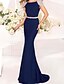 cheap Evening Dresses-Mermaid / Trumpet Open Back Formal Evening Dress Jewel Neck Short Sleeve Sweep / Brush Train Charmeuse with Crystals Beading 2022