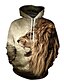 cheap Men&#039;s 3D Hoodies-Men&#039;s Hoodie Hooded 3D Print Plus Size Active Hoodies Sweatshirts  Long Sleeve White Black / Winter / Winter