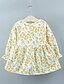 cheap Baby Girls&#039;  Dresses-Baby Girls&#039; Basic Street chic Print Patchwork Print Long Sleeve Above Knee Dress Yellow / Toddler