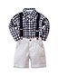 billige Sett med klær for guttebabyer-Baby Gutt Aktiv Grunnleggende Ruter Sløyfe Trykt mønster Langermet Normal Tøysett