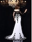 cheap Evening Dresses-Mermaid / Trumpet Evening Gown White Dress Engagement Formal Evening Court Train 3/4 Length Sleeve Boat Neck Chiffon with Appliques 2024