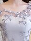 preiswerte Evening Dresses-A-Line Sexy Formal Evening Dress Scoop Neck Half Sleeve Floor Length Lace with 2020