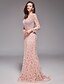 cheap Evening Dresses-Sheath / Column Elegant Sexy Formal Evening Dress V Neck Long Sleeve Sweep / Brush Train Floral Lace with Beading 2020