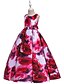 abordables Robes-Enfants Petit Fille Robe Fleurie Imprimé Bleu Rouge Rose Claire Maxi Sans Manches Actif Doux Robes Mince