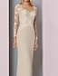 cheap Mother of the Bride Dresses-Sheath / Column Mother of the Bride Dress Elegant See Through Jewel Neck Floor Length Chiffon Lace Long Sleeve with Appliques 2022
