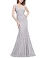 cheap Prom Dresses-Mermaid / Trumpet Elegant See Through Formal Evening Dress Illusion Neck Y Neck Sleeveless Sweep / Brush Train Lace with Lace Insert 2021