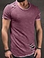 levne Pánská trička pro volný čas-Pánské Tričko Grafika Bez vzoru Kulatý Asijská velikost Krátký rukáv Oblečení Sval
