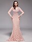 cheap Evening Dresses-Sheath / Column Elegant Sexy Formal Evening Dress V Neck Long Sleeve Sweep / Brush Train Floral Lace with Beading 2020