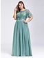 cheap Prom Dresses-A-Line Plus Size Prom Formal Evening Dress Jewel Neck Short Sleeve Floor Length Chiffon with Appliques 2022
