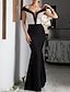 billiga Aftonklänningar-fodral svart klänning aftonklänning färgblock klänning formell cocktailfest golvlängd kortärmad v-ringad paljett med paljett 2024