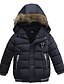 cheap Outerwear-Kids Boys&#039; Basic Print Solid Colored Down &amp; Cotton Padded Black