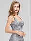 cheap Prom Dresses-A-Line Elegant Prom Formal Evening Dress Spaghetti Strap Sleeveless Floor Length Lace Sequined with Split Front 2021