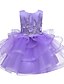 cheap Dresses-Girls&#039; Sleeveless Floral Solid Colored 3D Printed Graphic Dresses Active Cute Knee-length Polyester Dress Kids Toddler Regular Fit Sequins Lace Mesh
