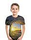 cheap Tees &amp; Shirts-Kids Boys&#039; Active Streetwear Geometric 3D Patchwork Print Short Sleeve Tee Rainbow