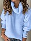cheap Sweaters-Women&#039;s Pullover Solid Colored Long Sleeve Oversized Sweater Cardigans Rolled collar White Light Blue