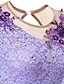 abordables Tenues de patinage artistique-Robe de Patinage Artistique Femme Fille Patinage Robes Rose clair Violet Blanc / Blanc Spandex Haute élasticité Tenue de Patinage Fait à la main Cristal / Stras Manches Longues Patinage sur glace