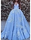 cheap Prom Dresses-Ball Gown Prom Dresses Luxurious Dress Quinceanera Chapel Train Short Sleeve Off Shoulder Tulle with Pleats Appliques 2022 / Formal Evening