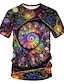 levne Geometrické-Pánské Košile Tričko Grafika Galaxie Kulatý Duhová Dovolená Krátký rukáv Oblečení Základní