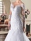 cheap Wedding Dresses-Engagement Open Back Formal Fall Wedding Dresses Mermaid / Trumpet Illusion Neck Long Sleeve Court Train Lace Bridal Gowns With Appliques 2023 Summer Wedding Party, Women&#039;s Clothing