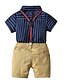 cheap Sets-Kids Toddler Boys&#039; New Year Clothing Set Short Sleeve Royal Blue Horse Striped Embroidered Cotton Birthday Party Party &amp; Evening Basic Regular
