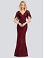 cheap Evening Dresses-Mermaid / Trumpet Sparkle Engagement Formal Evening Dress V Neck Short Sleeve Floor Length Tulle with Sequin 2022