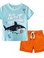 cheap Sets-Christmas Boys 3D Color Block Clothing Set Short Sleeve Basic Polyester Kids