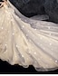 baratos Vestidos de Casamento-Salão Vestidos de noiva De Baile Sem Alças Sem Alças Cauda Watteeau Tule Vestidos de noiva Com Laço(s) Franzido 2023