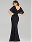 cheap Evening Dresses-Mermaid / Trumpet Wedding Guest Formal Evening Dress V Neck Short Sleeve Floor Length Lace with Sequin 2021