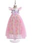 cheap Dresses-Kids Little Girls&#039; Dress Unicorn Rainbow Color Block Sequins Mesh Lace Trims Pink Midi Sleeveless Active Boho Dresses Children&#039;s Day Regular Fit