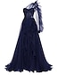 cheap Evening Dresses-A-Line Evening Gown Corsets Dress Wedding Guest Engagement Court Train Long Sleeve One Shoulder Wednesday Addams Family Tulle with Ruffles Slit 2024