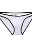 cheap Men&#039;s Exotic Underwear-Men&#039;s Normal Mesh Briefs Underwear Stretchy Low Waist 1 PC Green S