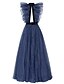 cheap Evening Dresses-A-Line Sexy Engagement Formal Evening Dress Halter Neck Sleeveless Court Train Tulle with Ruffles Slit Lace Insert 2021