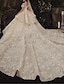 cheap Wedding Dresses-Ball Gown Wedding Dresses Off Shoulder Watteau Train Lace Short Sleeve Formal Romantic Wedding Dress in Color with Lace Insert 2021