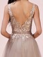 cheap Prom Dresses-A-Line Prom Dresses Elegant Dress Engagement Prom Floor Length Sleeveless V Neck Tulle with Pleats Appliques 2024