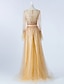 cheap Evening Dresses-A-Line Luxurious Prom Formal Evening Dress Illusion Neck Long Sleeve Sweep / Brush Train Tulle with Beading 2022 / Illusion Sleeve