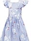 abordables Robes-Enfants Fille Robe Floral Rayé Rose Claire Bleu clair