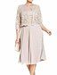 cheap Mother of the Bride Dresses-Sheath / Column Mother of the Bride Dress Elegant Jewel Neck Tea Length Polyester Lace 3/4 Length Sleeve No with Lace 2024